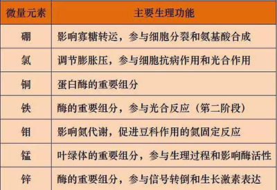 全自動草莓视频官网污廠家微量元素的對人體的生理作用